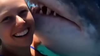 Ocean Dog