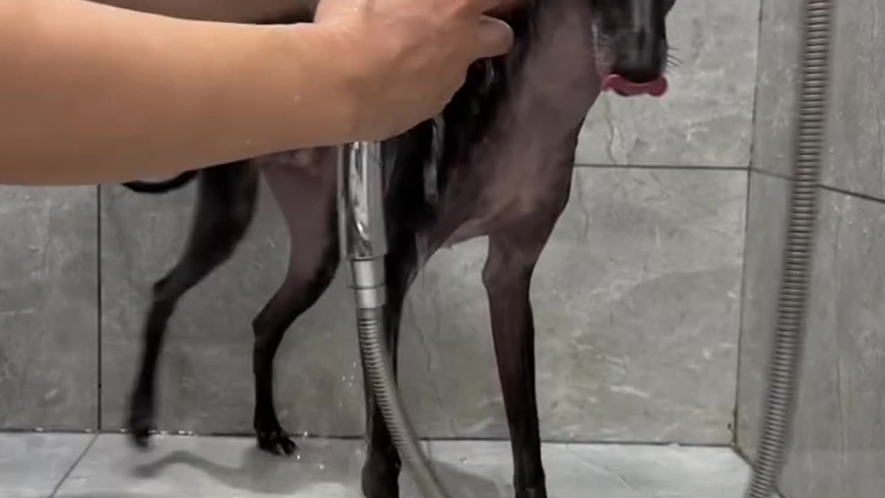 📹 Trending Chinese Viral Videos | Funny, Emotional & Shocking Moments