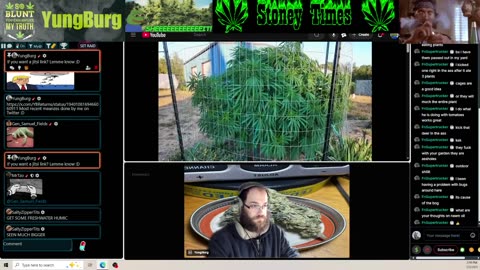 Burg's Lounge.. Bing Chillin' #Live #Cannabis #420 #Hangout