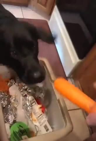 Nom Nom Nom Nom Nom.....