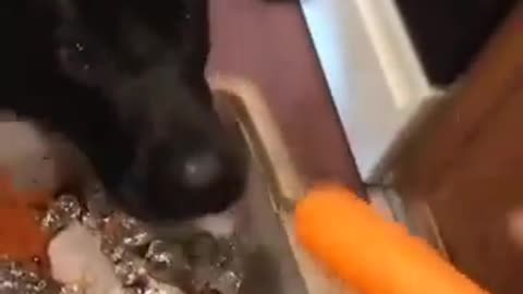 Nom Nom Nom Nom Nom.....