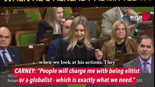 People will charge me with being a elitist or a globalist which is exactly what we need