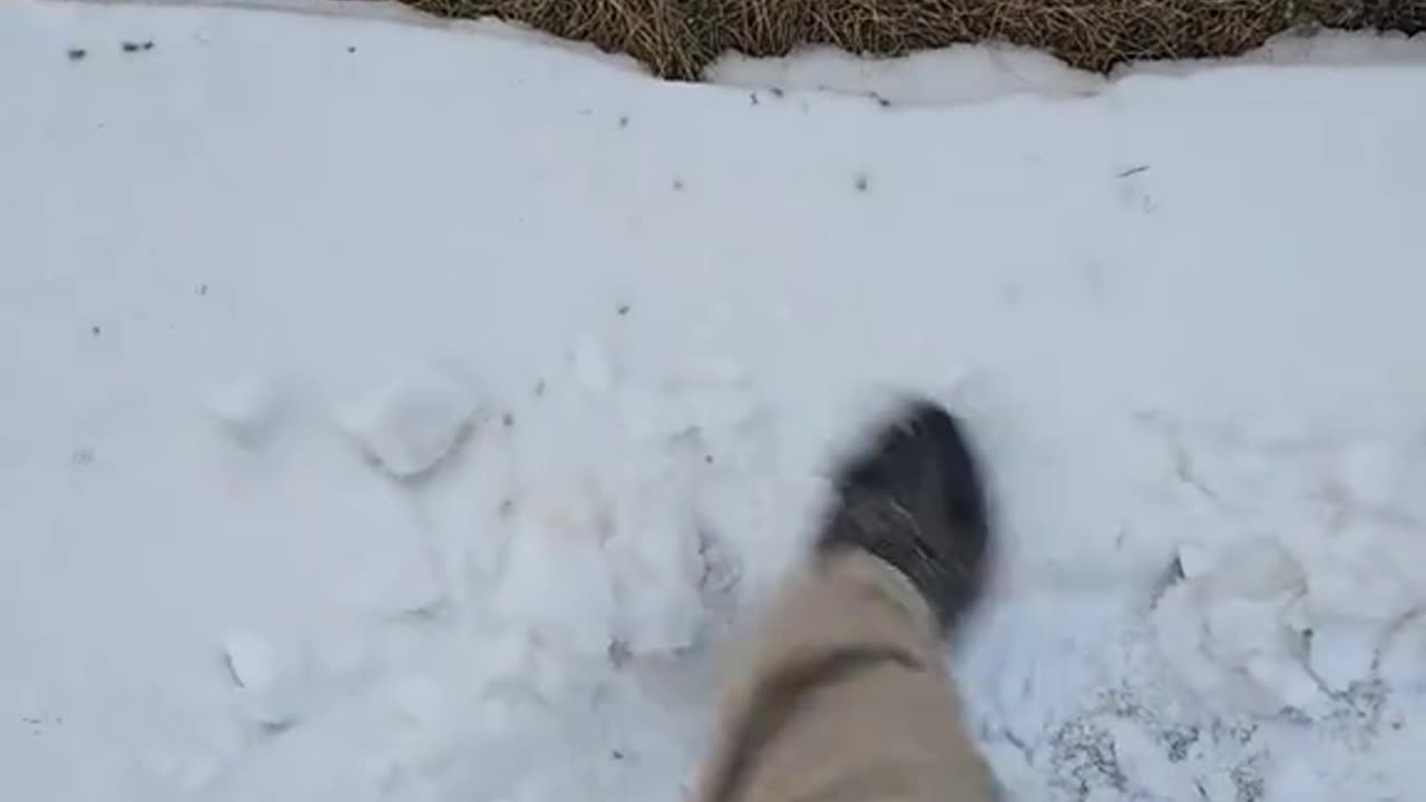 You guys act like you've never seen fire snow before