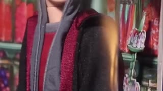 Hogsmeade Harry Doll: Unboxing 2004 Collectible!