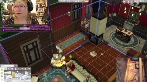 Chicken Live Stream