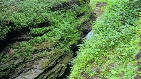 Treman State Park Gorge Trail: Final Waterfall