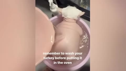 😹 MEOW-MAZING! New Hilarious Cat Moments That’ll Crack You Up! 🐾🤣