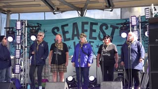 Plymouth Barbican Sea food Festival music. Barrell Sea galls in the rain 13th September Sea shanties