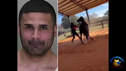Florida Horse Trainer Arrested for Punching, Kicking Paso Fino in Training Video