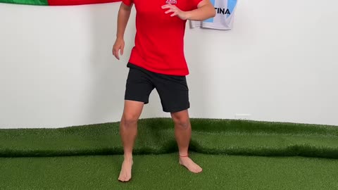 Don't Kick The Wrong BALL
