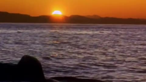 Michael Jackson - Will You Be There (Official Music Video)