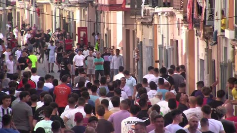 TOROS TARDE 21 mayo FIESTAS SANTA QUITERIA 2025