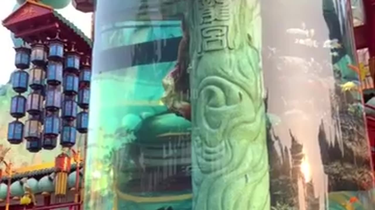 Chinese These Parks - Next Level Entertainment. #china #themepark #shorts