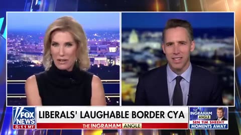 'Catastrophe!'_ THIS is what they wanted, says Sen. Josh Hawley