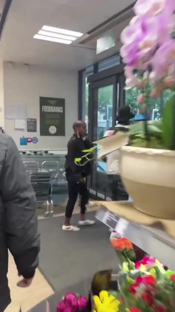 Diversity looting everywhere