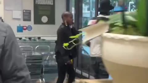 Diversity looting everywhere