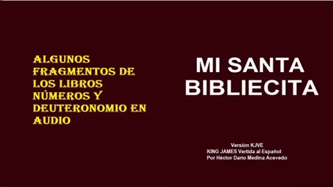 MI SANTA BIBLIECITA 04 Números y Deuteronomio