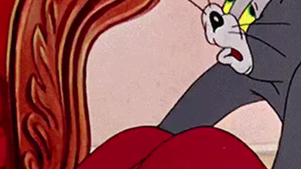 criando-shorts-engraçados 2