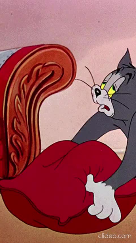 criando-shorts-engraçados 2