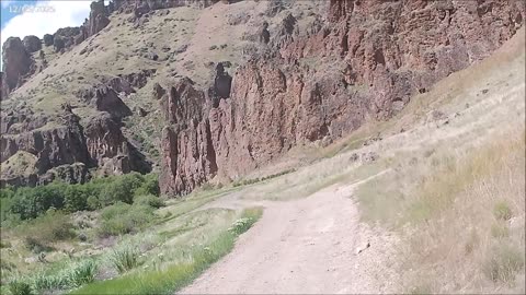 05-12-25 Out past Succor Creek. Desert green and lots of cows