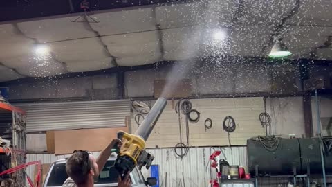 Pest Control Sprayed Through Leaf Blower