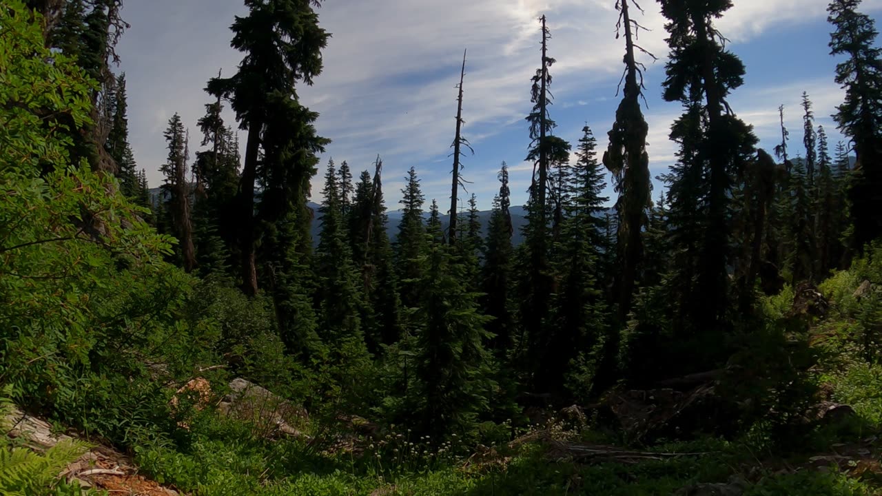 Spending Time at Spectacle Lake, WA Pt.4