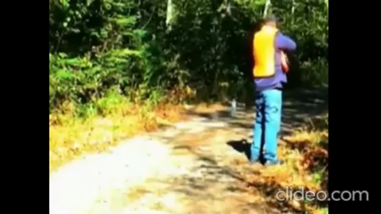 What Were They Thinking???