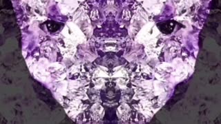 Beings within the sun