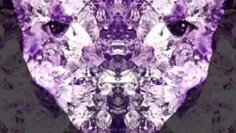 Beings within the sun