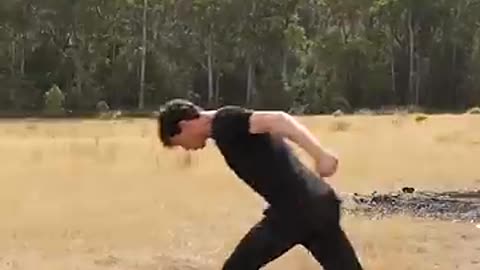 Animals Funny short video