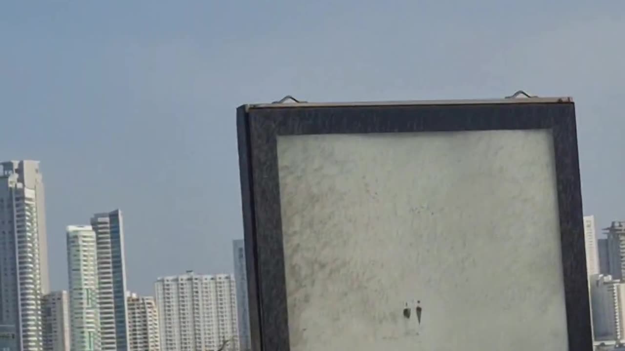 desaparecida