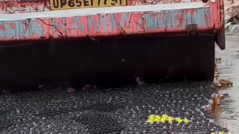 Beer 🍻🤯😤😩🥺