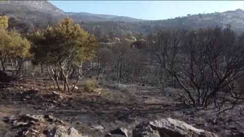 Fire devours Greek island's forests; residents urged to flee