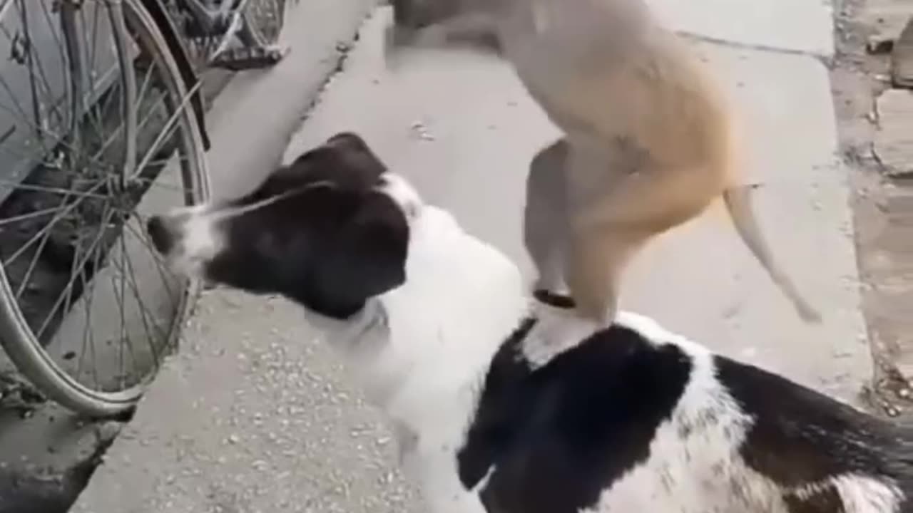 Friend forever to support