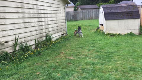 Koda visit