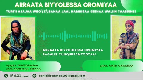 Qophii Addaa ONM-ABO Onkoloolessa 23-2025 itti dhiyaadhaa!