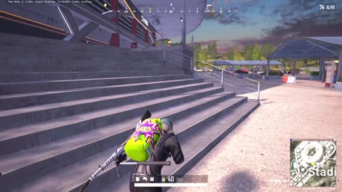 No Chance Bunny 🐰