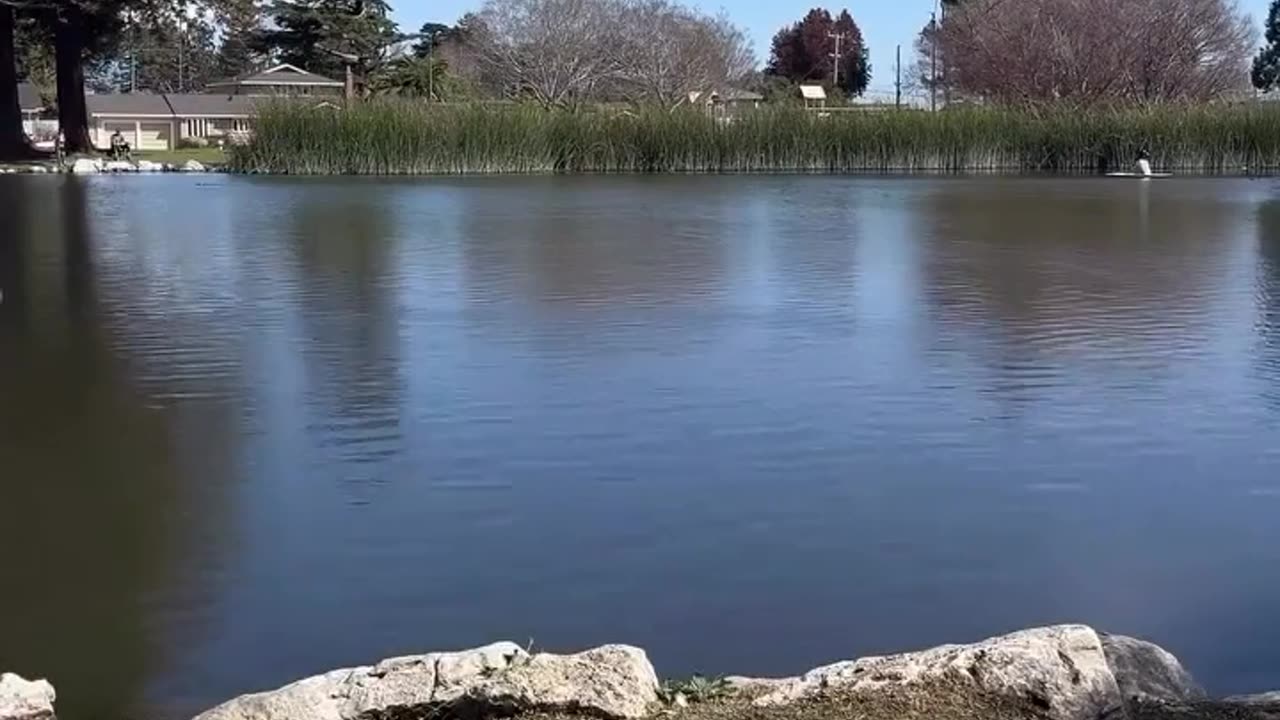 🌊😂 Mind-Blowing Stone Skipping Skills! | FunFM