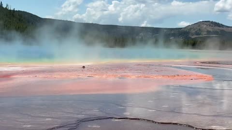 Grand Prismatic Spring Yellowstone