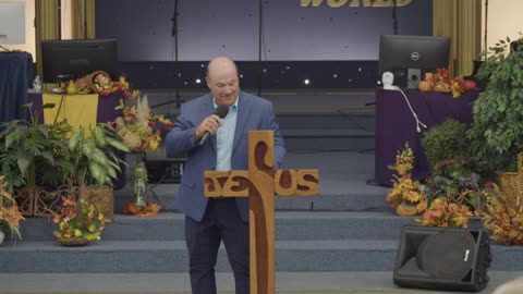 Divine Healing by Brian Wills