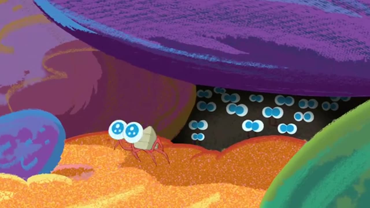 Hilarious Zig and Sharko Moments You Can’t Miss! | Funny Cartoon Compilation #ZigAndSharko