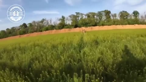 ‼️ Ukrainian military filmed the moment an enemy FPV drone attacked their pickup truck