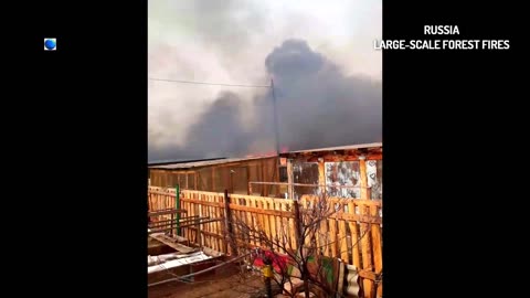 Incendies de forêt catastrophiques en Russie : un demi-million d'acres en flammes