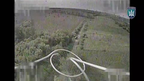 🛸💥 Ukraine Russia War | Birds of Madyar Hit Russian BM-21 Grad | RCF