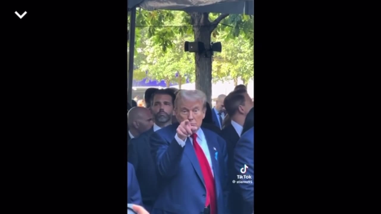 Only fan model flashes Trump