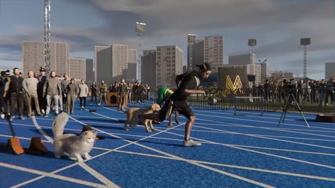 Usain Bolt VS Cheetah / Cat / Dog