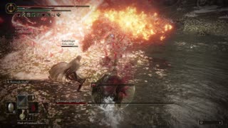 Elden Ring NG+1 | Malenia, Blade of Miquella & Goddess of Rot boss w/2 cooperators #eldenring
