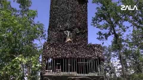 🇷🇺🎯 Ukraine Russia War | Lancet Drone Destroys AFU Howitzer in Kherson | RCF