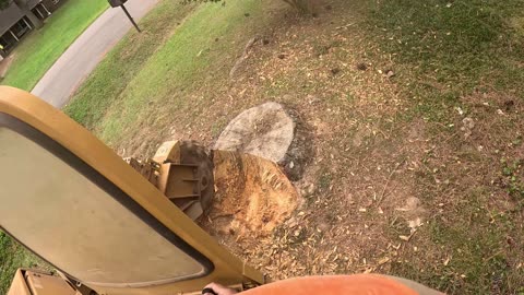 Today My Stump Grinding Jobs Didn’t Go as Planned!
