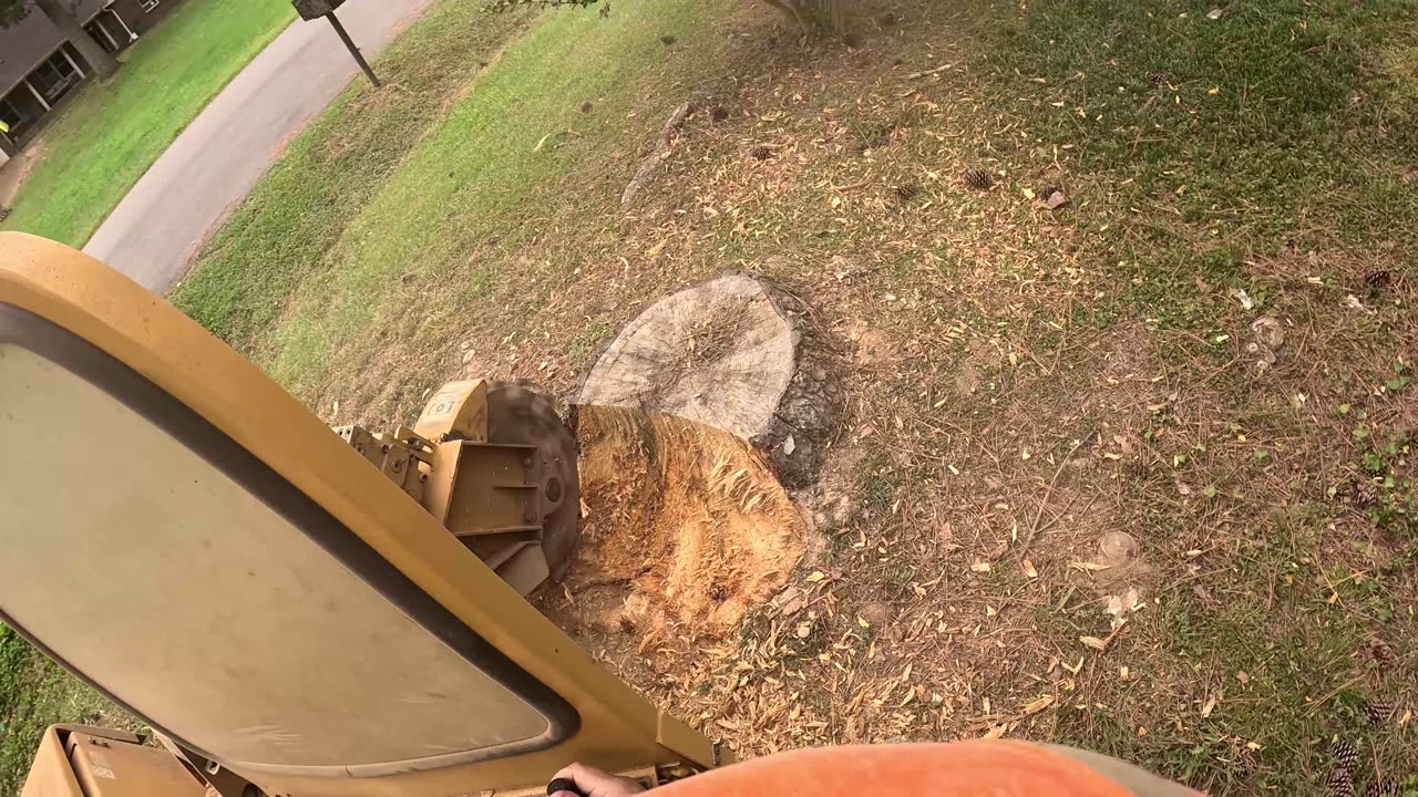 Today My Stump Grinding Jobs Didn’t Go as Planned!